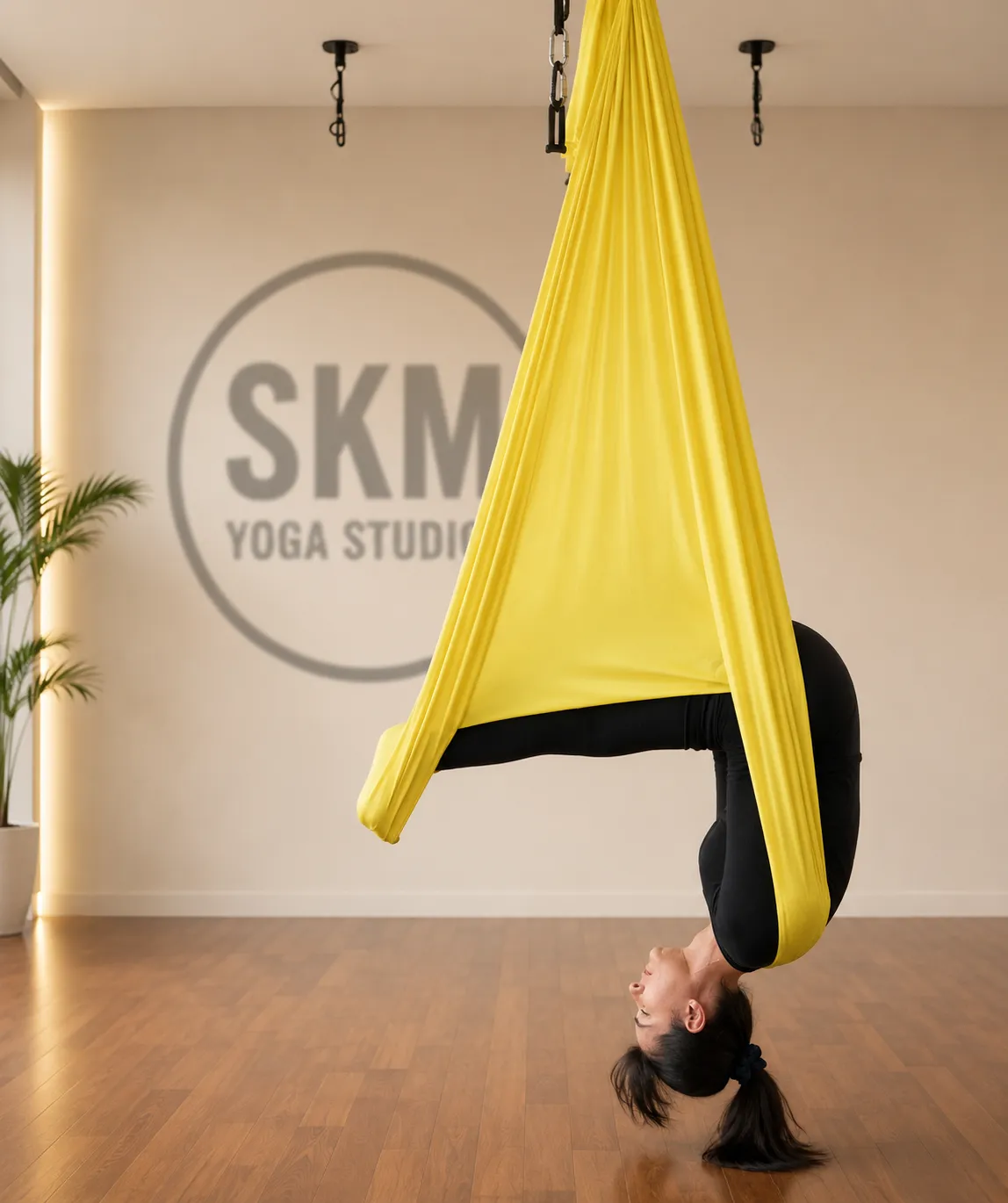 Advanced Aerial Yoga Classes Noida
